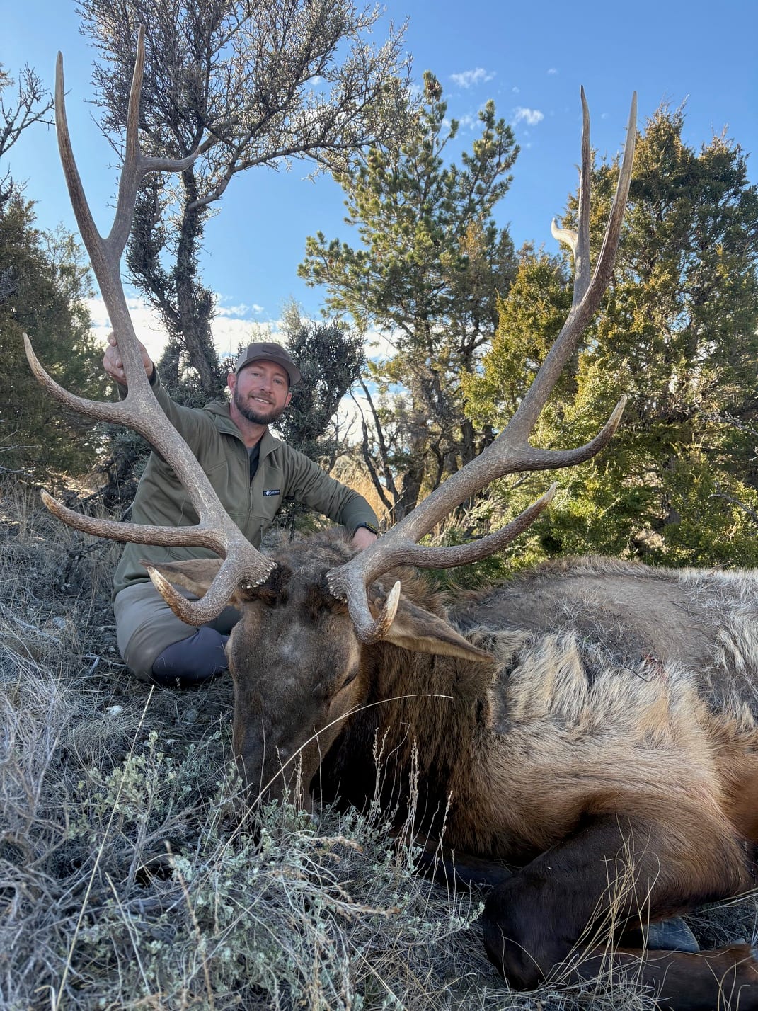A hunter kneels next to a harvested elk with large antlers in a natural setting.