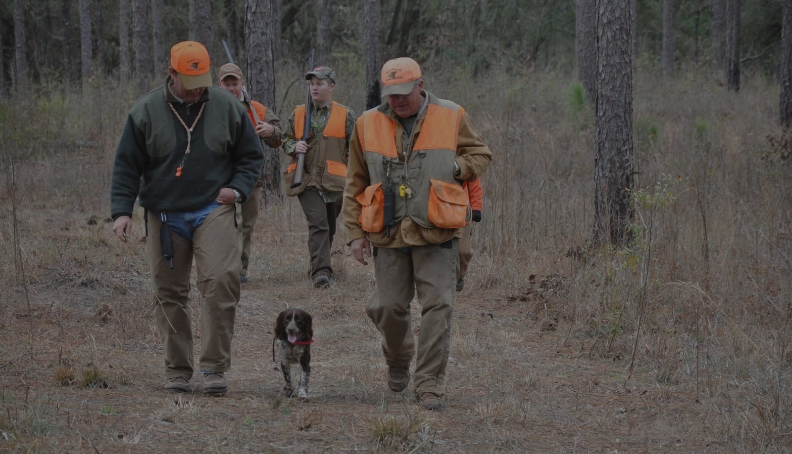 Hunters and a dog walk through a field with trees in the background.