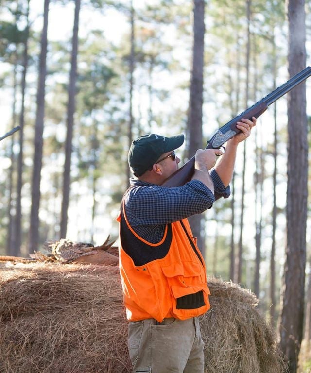 Half-Day Quail Hunts
