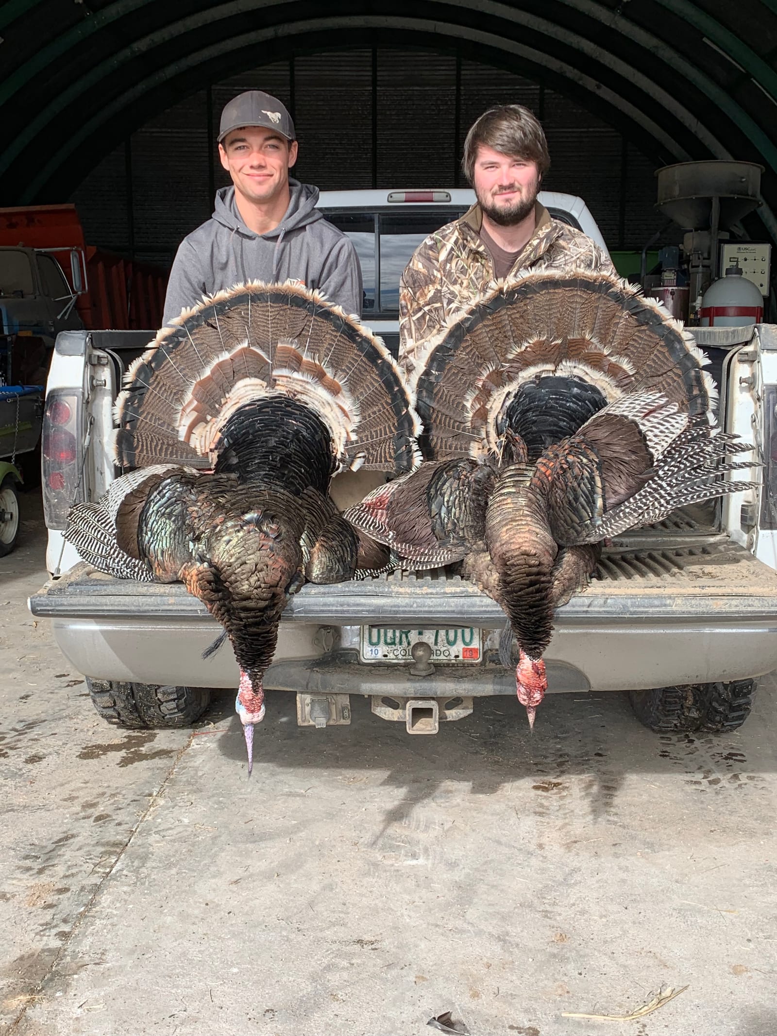 Two hunters pose with two harvested wild turkeys in the back of a pickup truck.