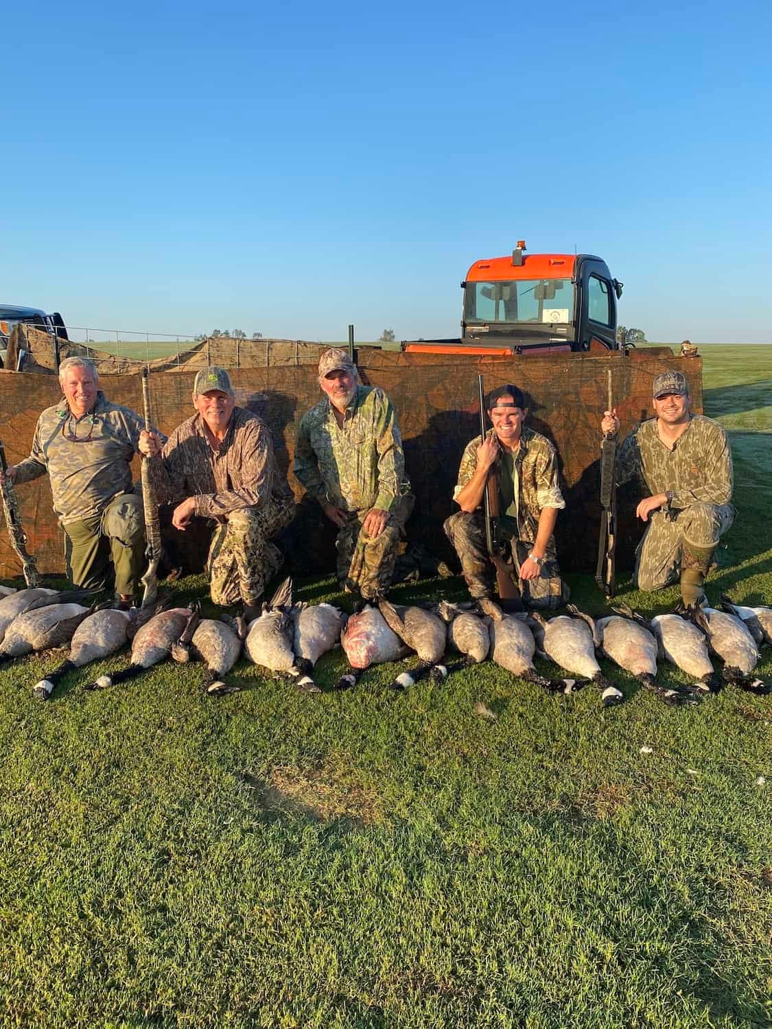 Five hunters pose with their harvested geese in a field.