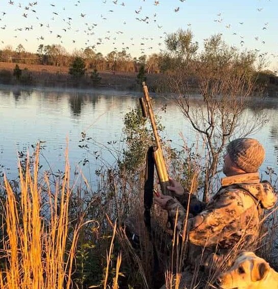 A hunter in camouflage holds a shotgun, looking up at a flock of birds flying over a misty lake with a dog partially visible in the foreground.