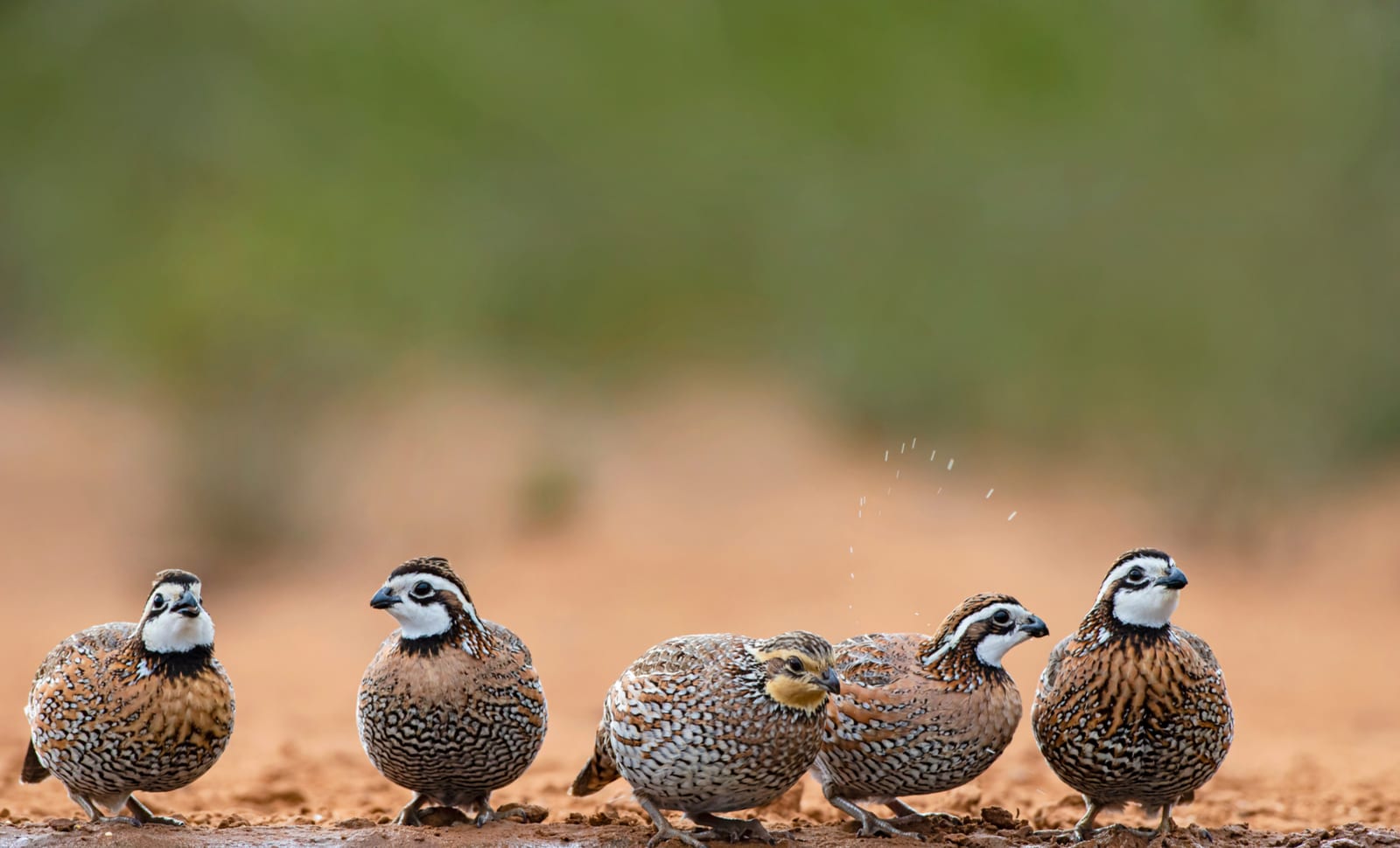 AdobeStock_472865061_edited_edited.jpg
