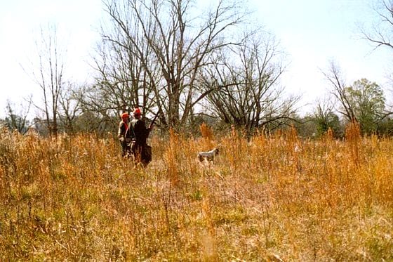 Two hunters and a dog walk through a tall grassy field with trees in the background.