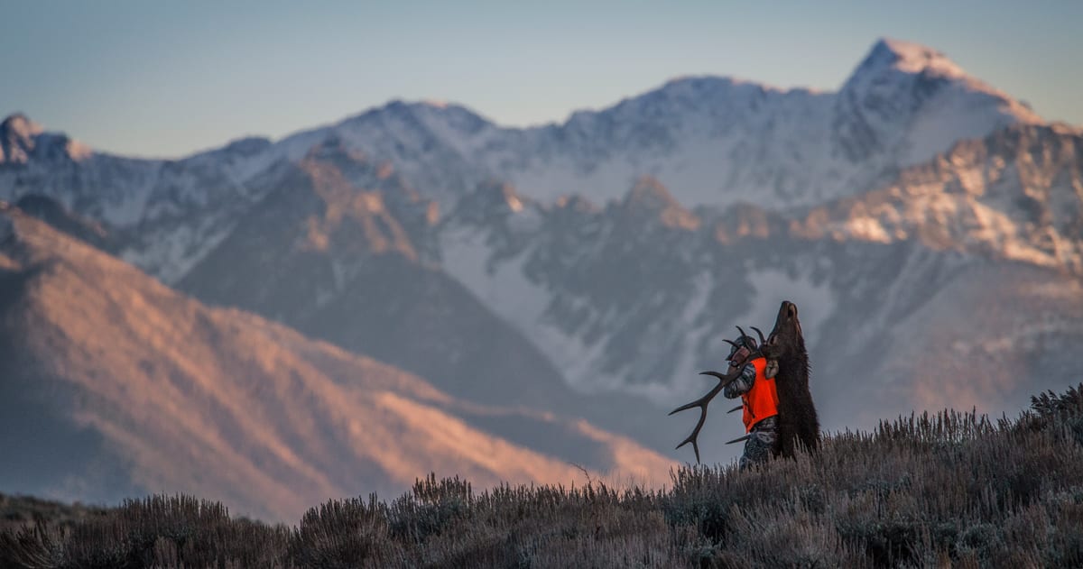 A hunter carries an elk rack and cape on their back with snowy mountains in the background.