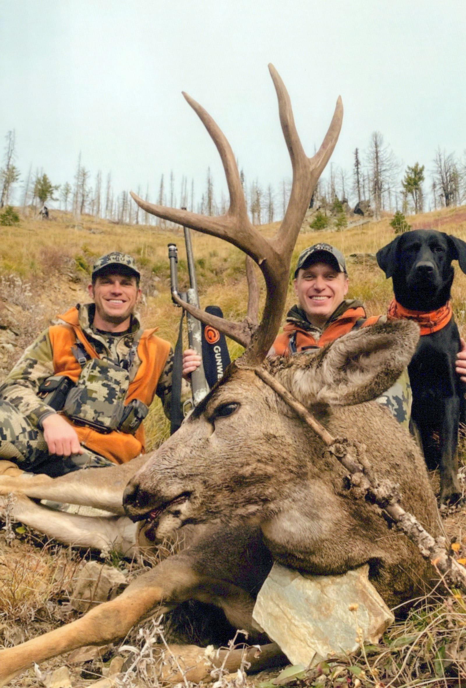 Bullseye Outfitting | Montana Elk Hunting Guide