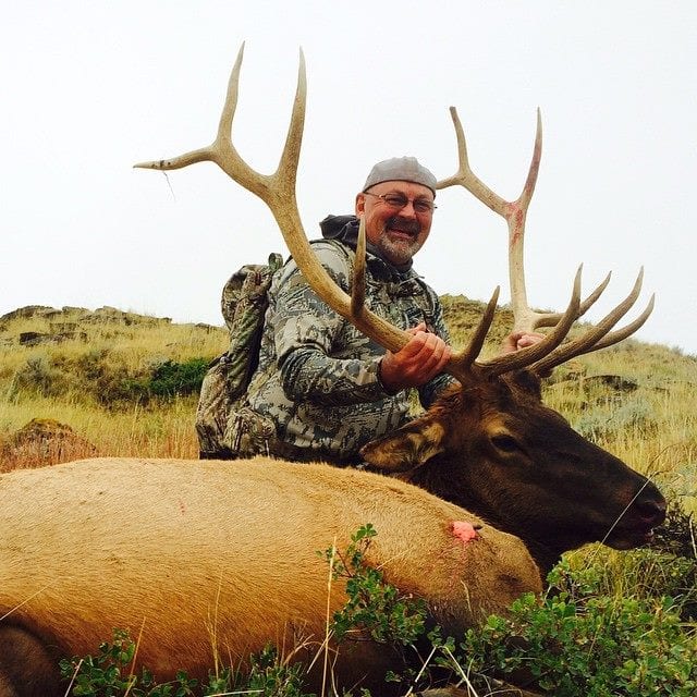 A hunter poses with a harvested elk in a grassy field.
