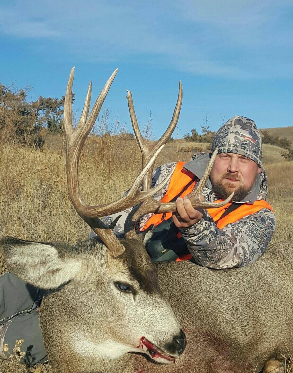 A hunter in camouflage and an orange vest poses with a harvested mule deer in a grassy field under a blue sky.