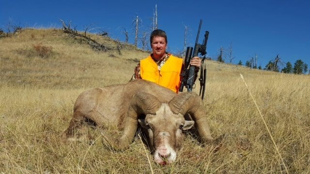 A hunter in an orange vest poses with a harvested bighorn sheep in a grassy field.