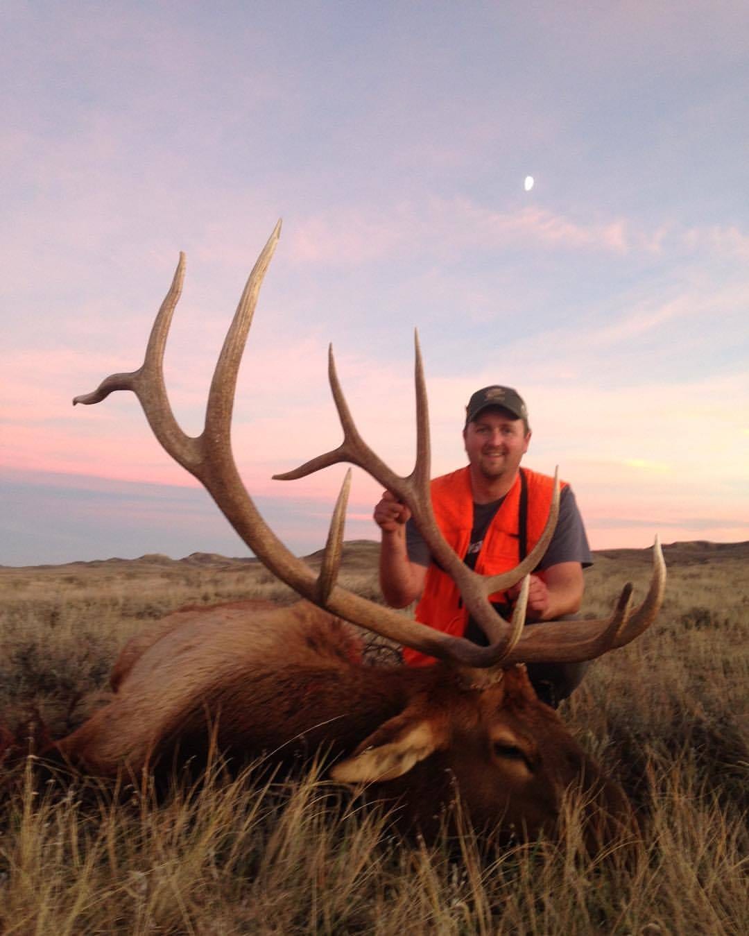 A hunter poses with a harvested elk in a field at sunset.