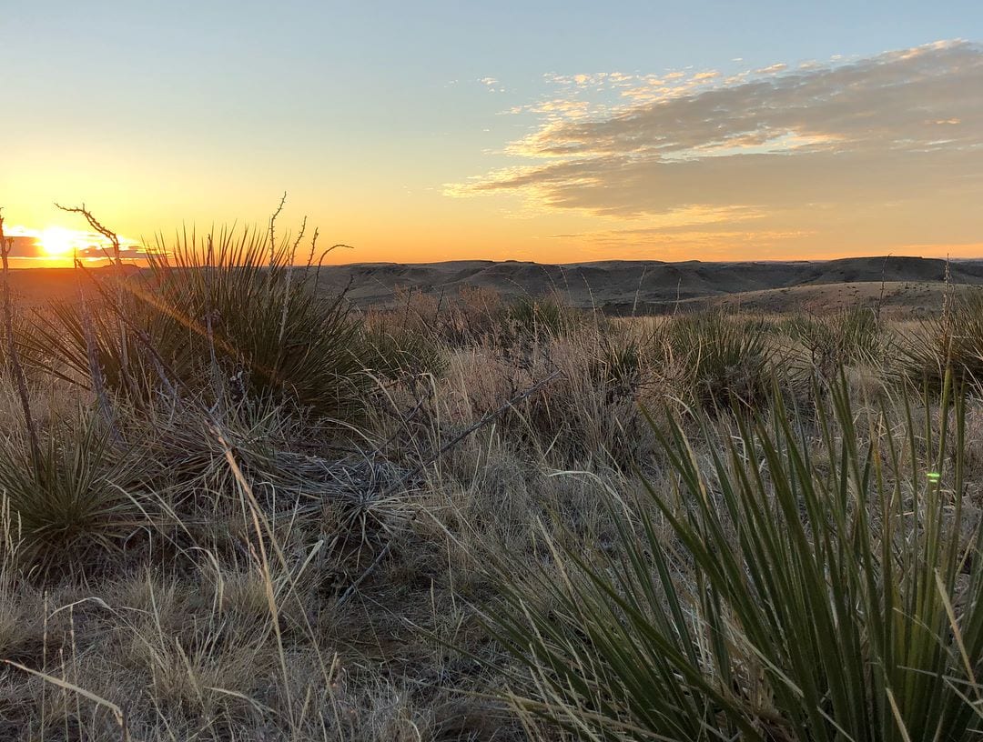 A sunset over a dry, grassy landscape with rolling hills in the background.