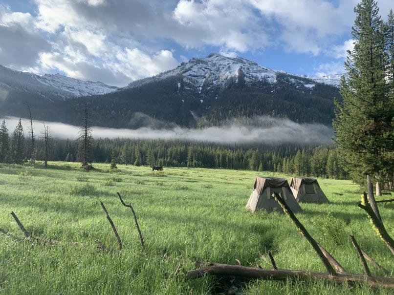 Two tents are set up in a grassy field with a moose in the distance, backed by a forest, fog, and snow-capped mountains under a cloudy sky.