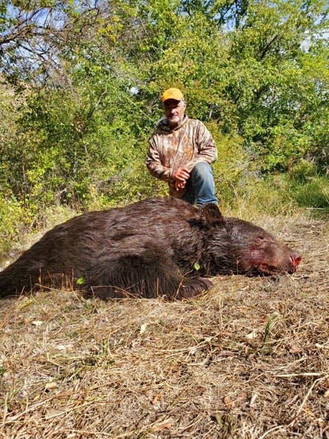 A hunter in camouflage and an orange hat kneels next to a harvested black bear on the ground.