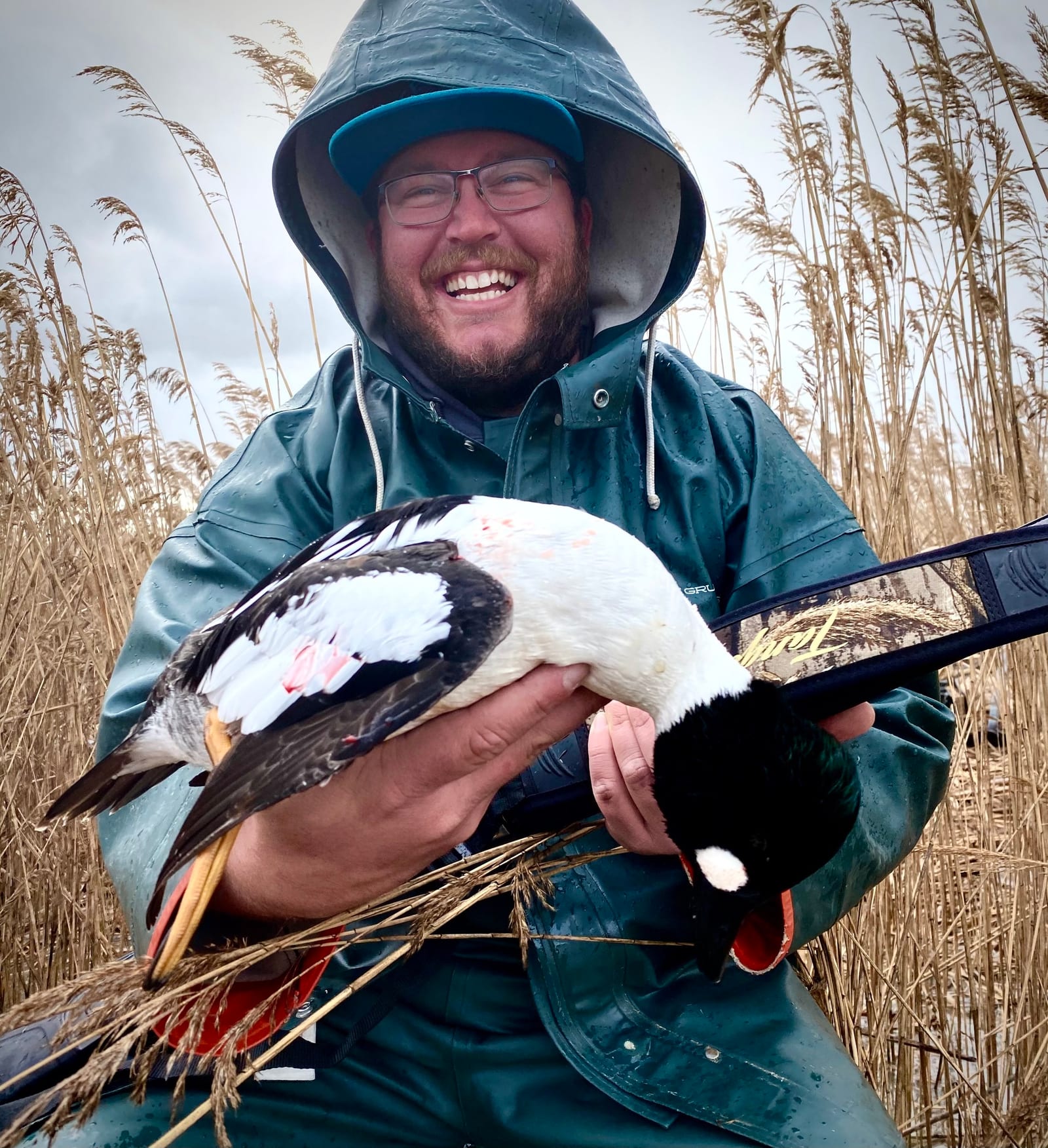 A hunter in a green rain jacket holds a harvested goldeneye duck in a field of tall reeds.