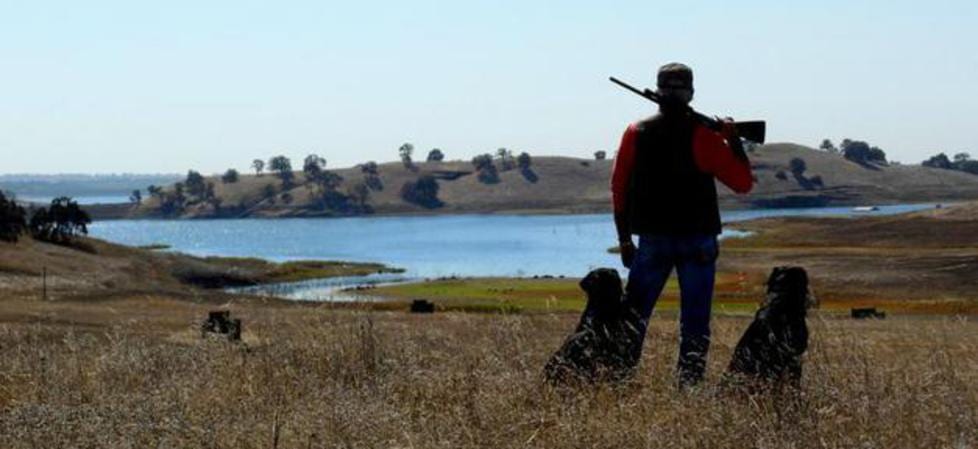 A hunter stands in a field with two dogs, overlooking a lake and hills.