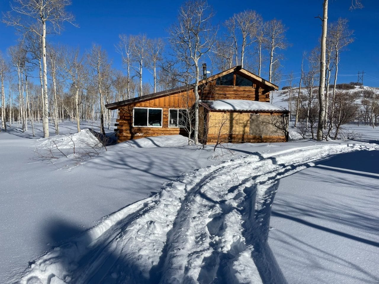 A wooden cabin stands in a snowy landscape surrounded by bare trees under a clear blue sky, with ski tracks in the foreground.