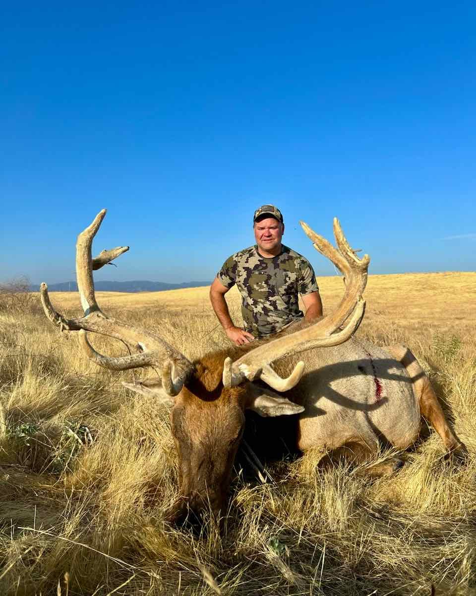 A hunter poses with a harvested elk in a dry, grassy field under a clear blue sky.
