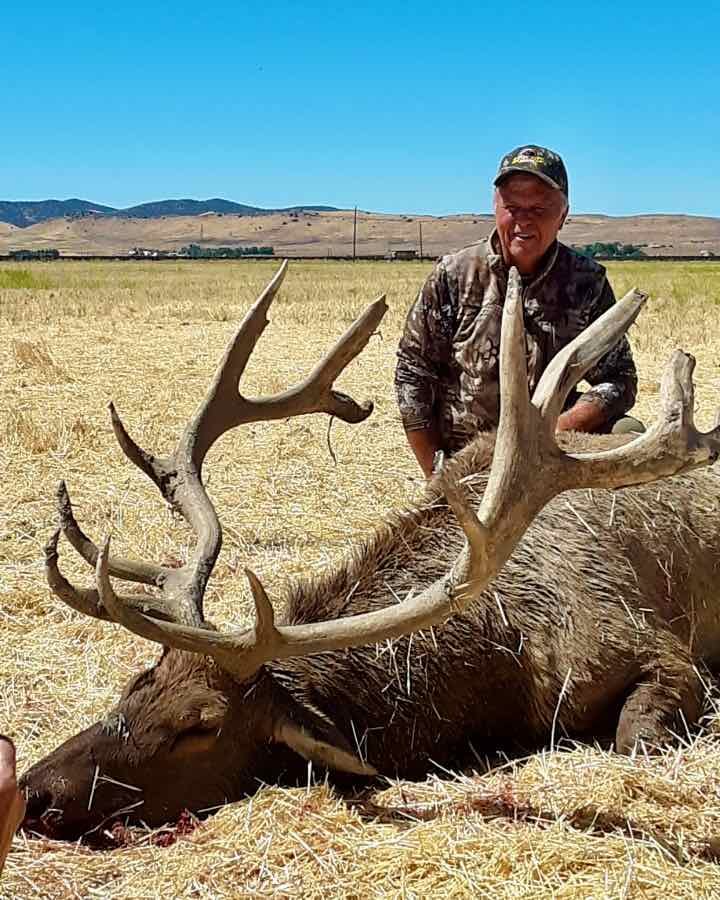 A hunter poses with a harvested elk in a field.