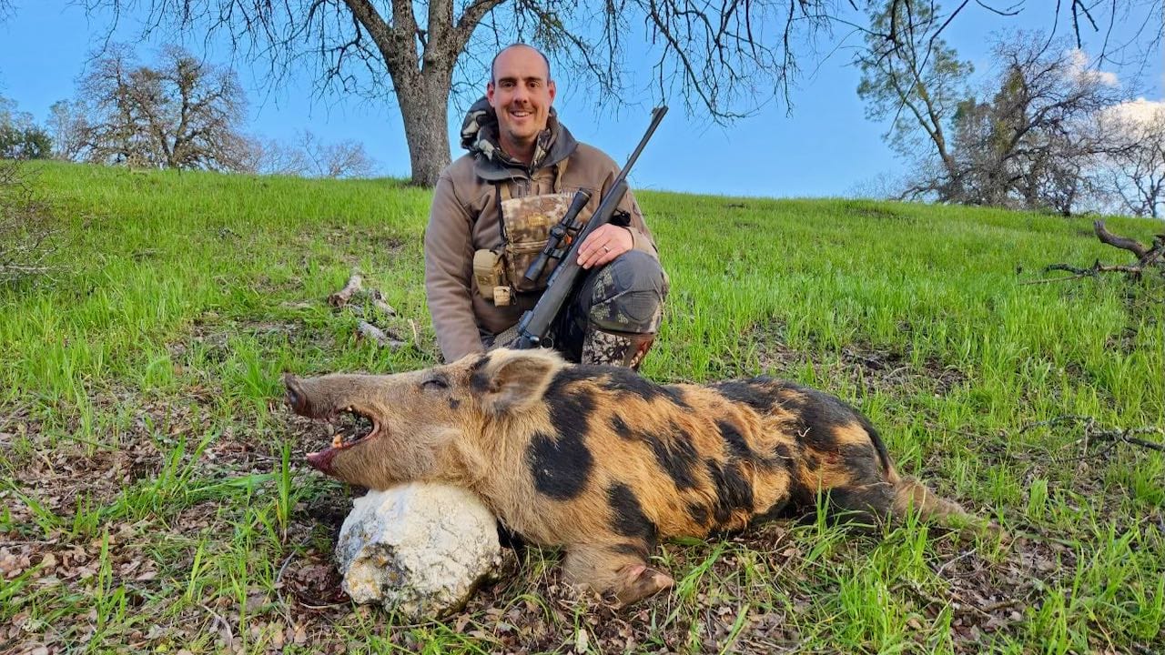 A hunter kneels next to a harvested wild boar in a grassy field.