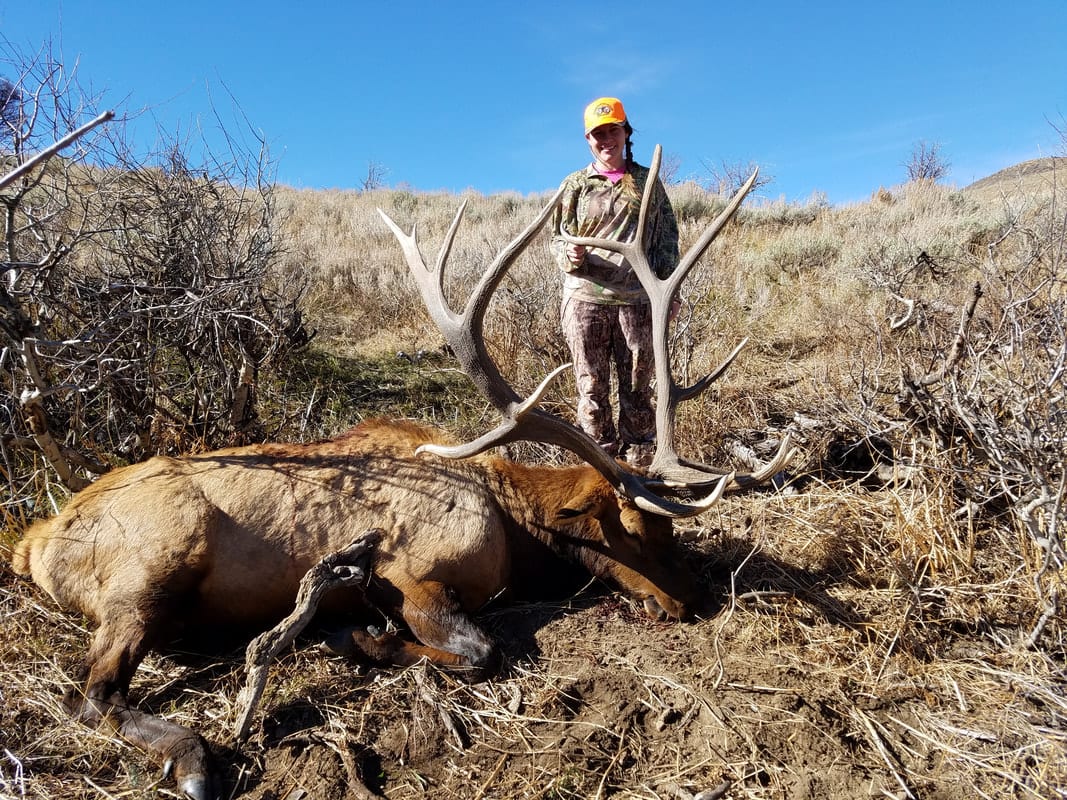 A hunter in camouflage and an orange hat poses with a harvested elk in a dry, brushy field under a clear blue sky.