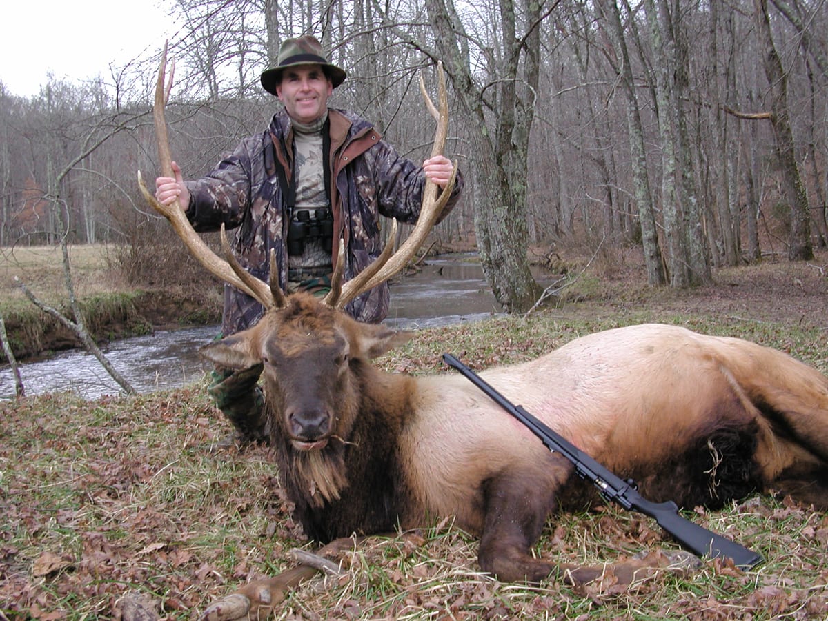 A hunter poses with a harvested elk and a rifle in a wooded area next to a stream.