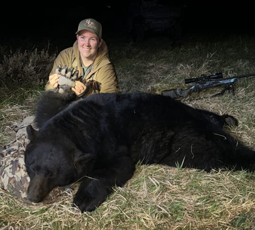 Idaho black bear