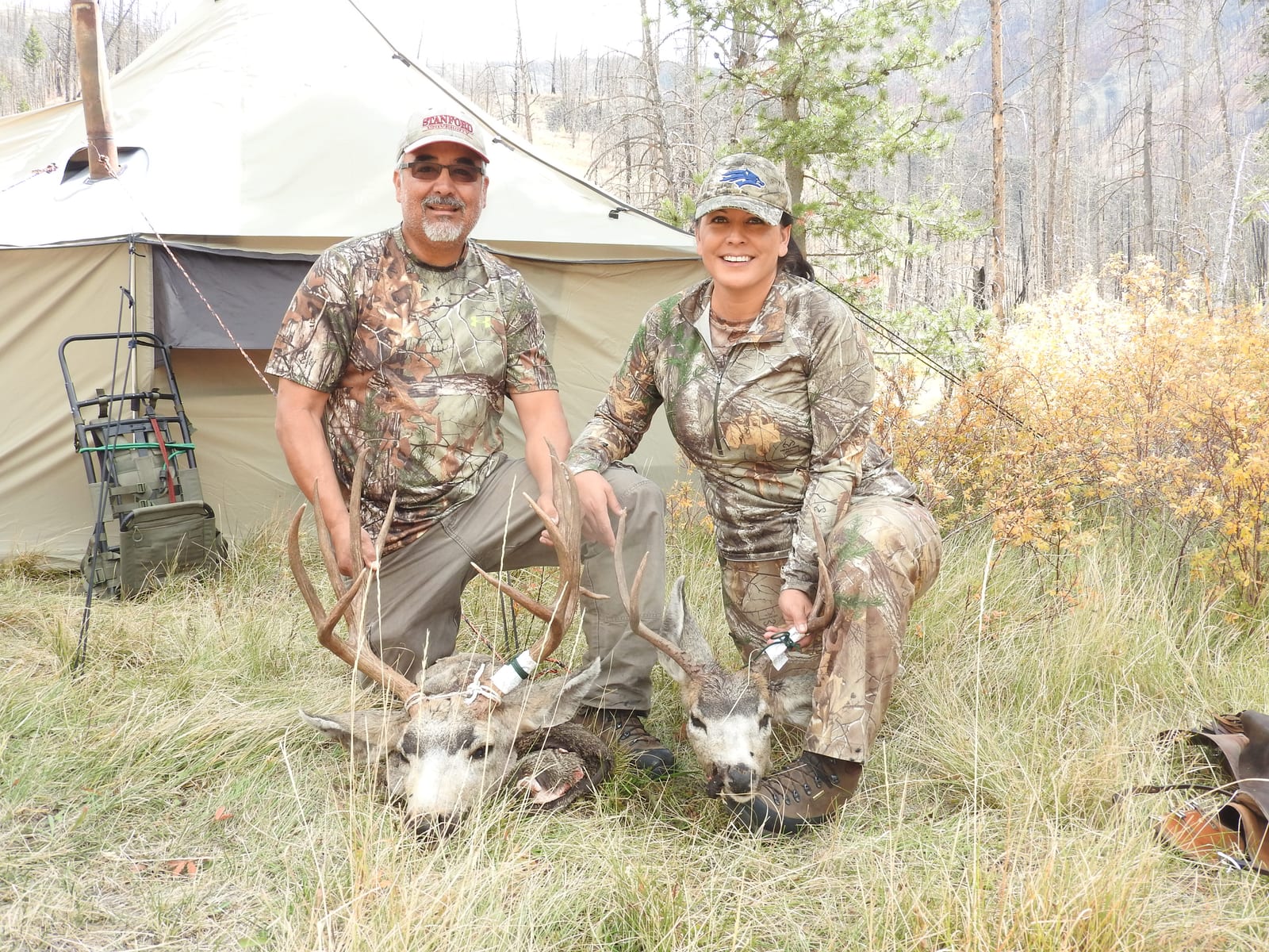 Idaho Drop Camp Hunts. Elk Hunts, Deer Hunts, Bear Hunts and Wolf Hunts.