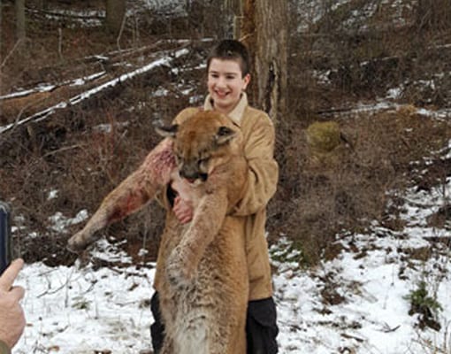 A young person holds a harvested mountain lion in a snowy, wooded area.