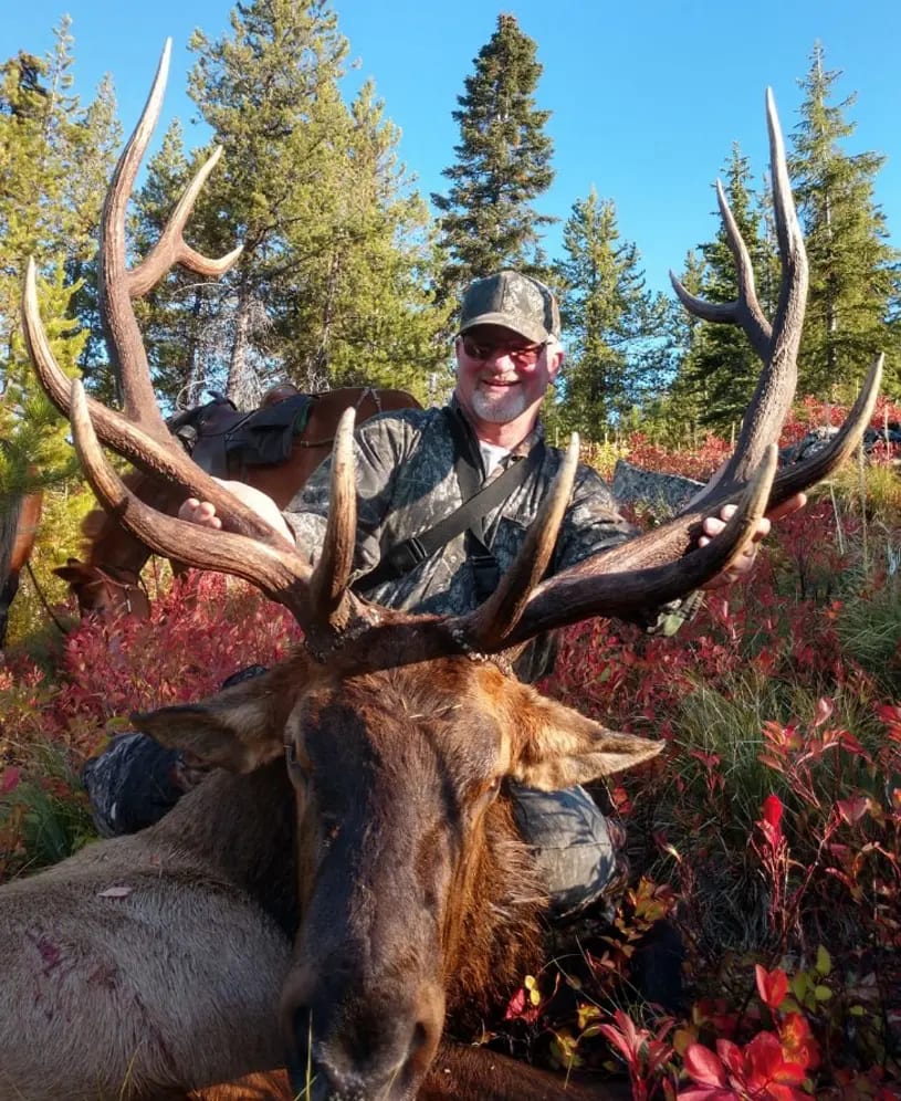 A hunter poses with a harvested elk in a forest setting.