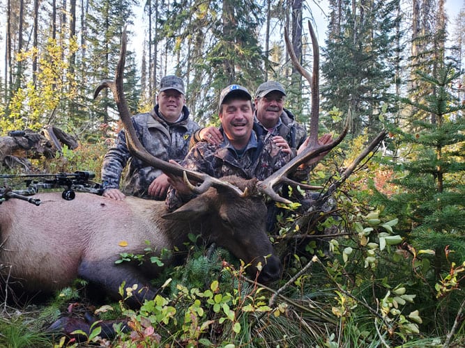 Three hunters pose with a harvested elk in a forest.
