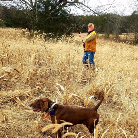 A man in hunting attire with a shotgun and a brown hunting dog stand in a field of tall, dry grass.