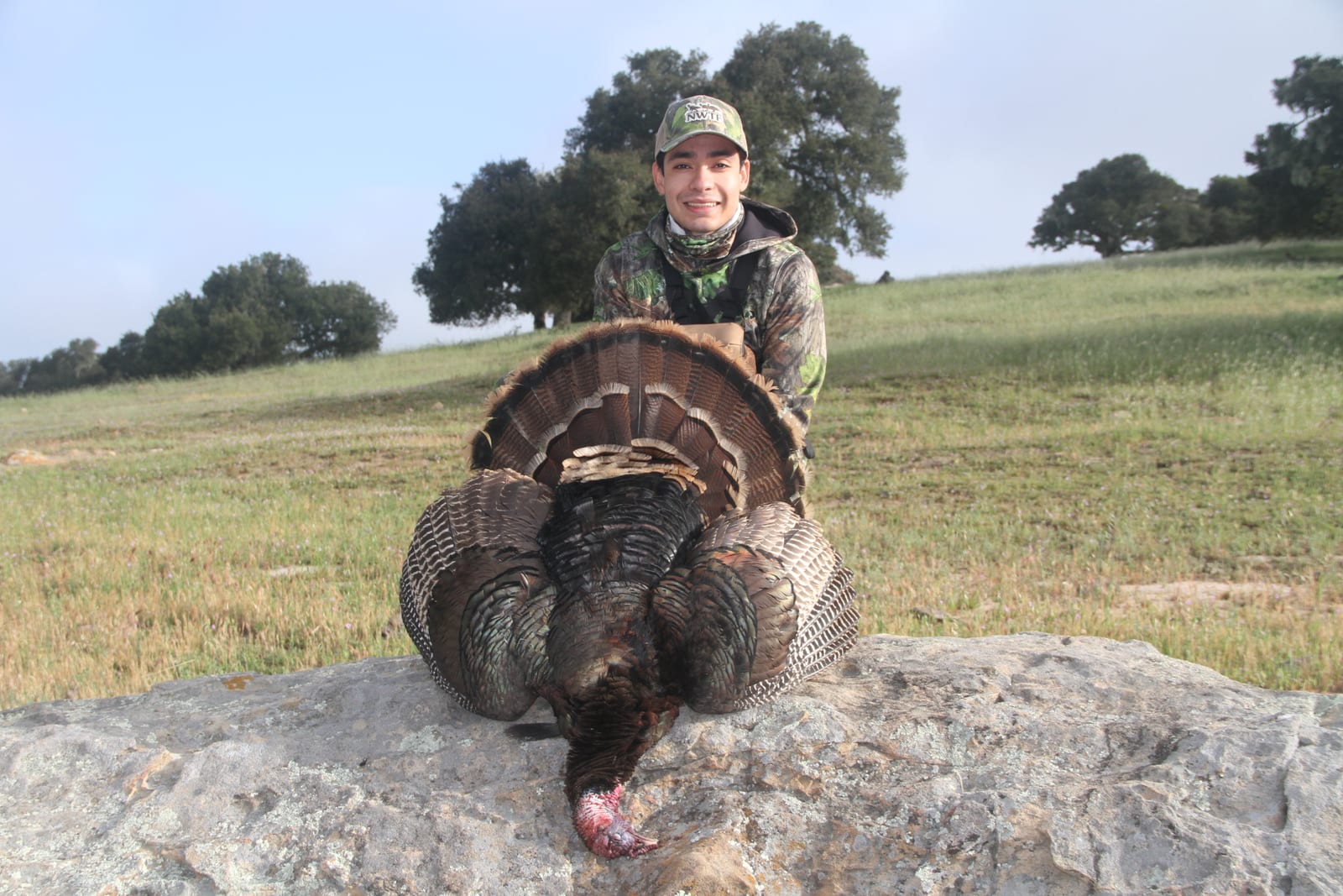 Tukey Hunting Guides California