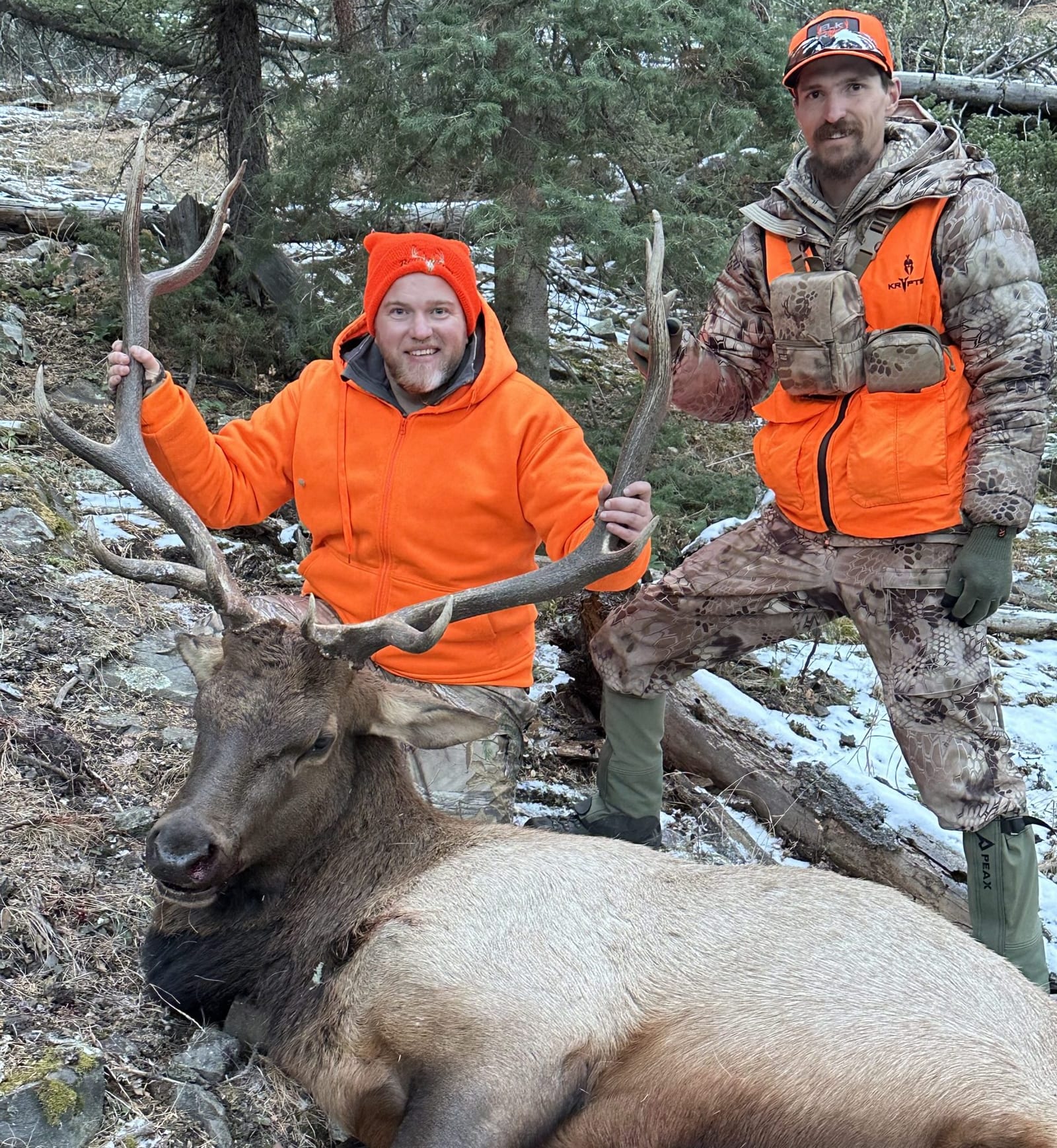 Jakes Bull