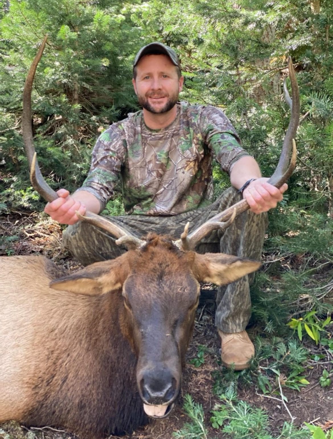 A man in camouflage poses with a harvested elk in a forest.