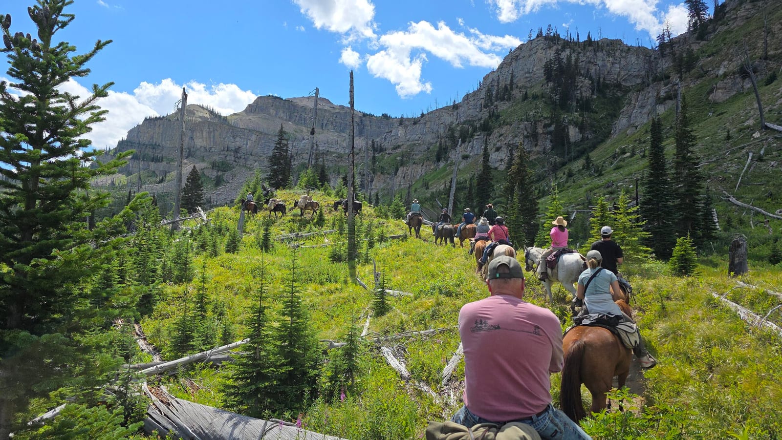 A group of people ride horses through a mountainous, forested landscape under a blue sky.