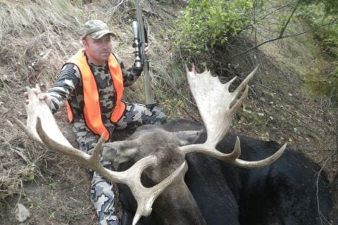 Moose Hunting Photos