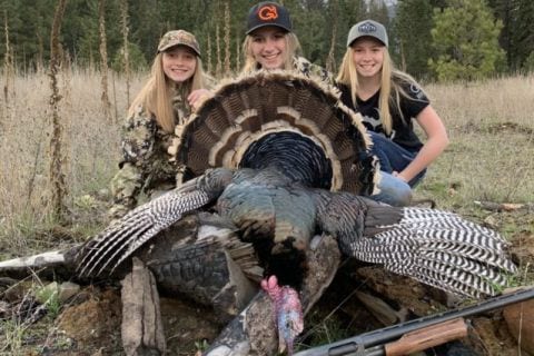 Best Turkey Hunts