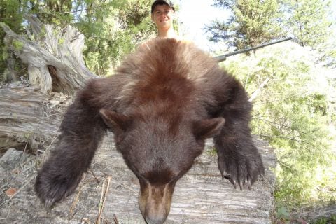Black Bear Hunts