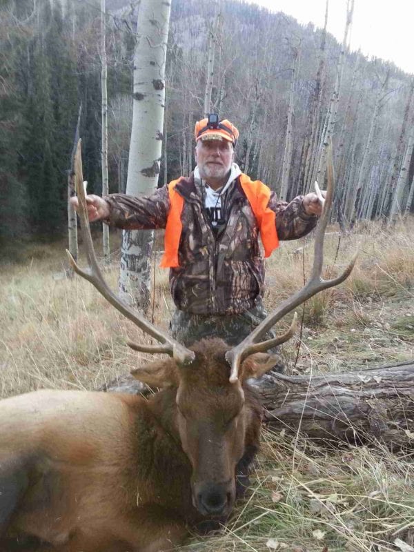A hunter in camouflage and an orange vest poses with a harvested elk in a forest.