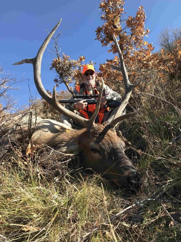 A hunter poses with a harvested elk in a grassy, wooded area under a blue sky.