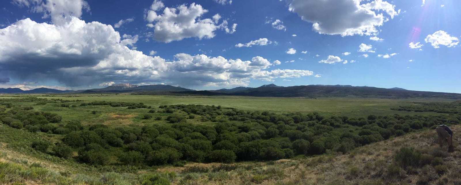 Elk Hunts