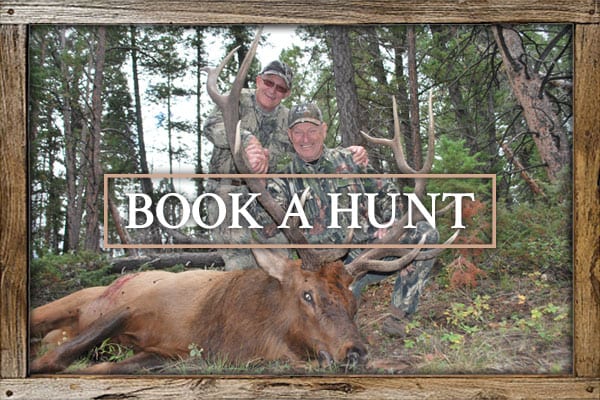 Book A Hunt With Colorado Elk Outfitter, LLC