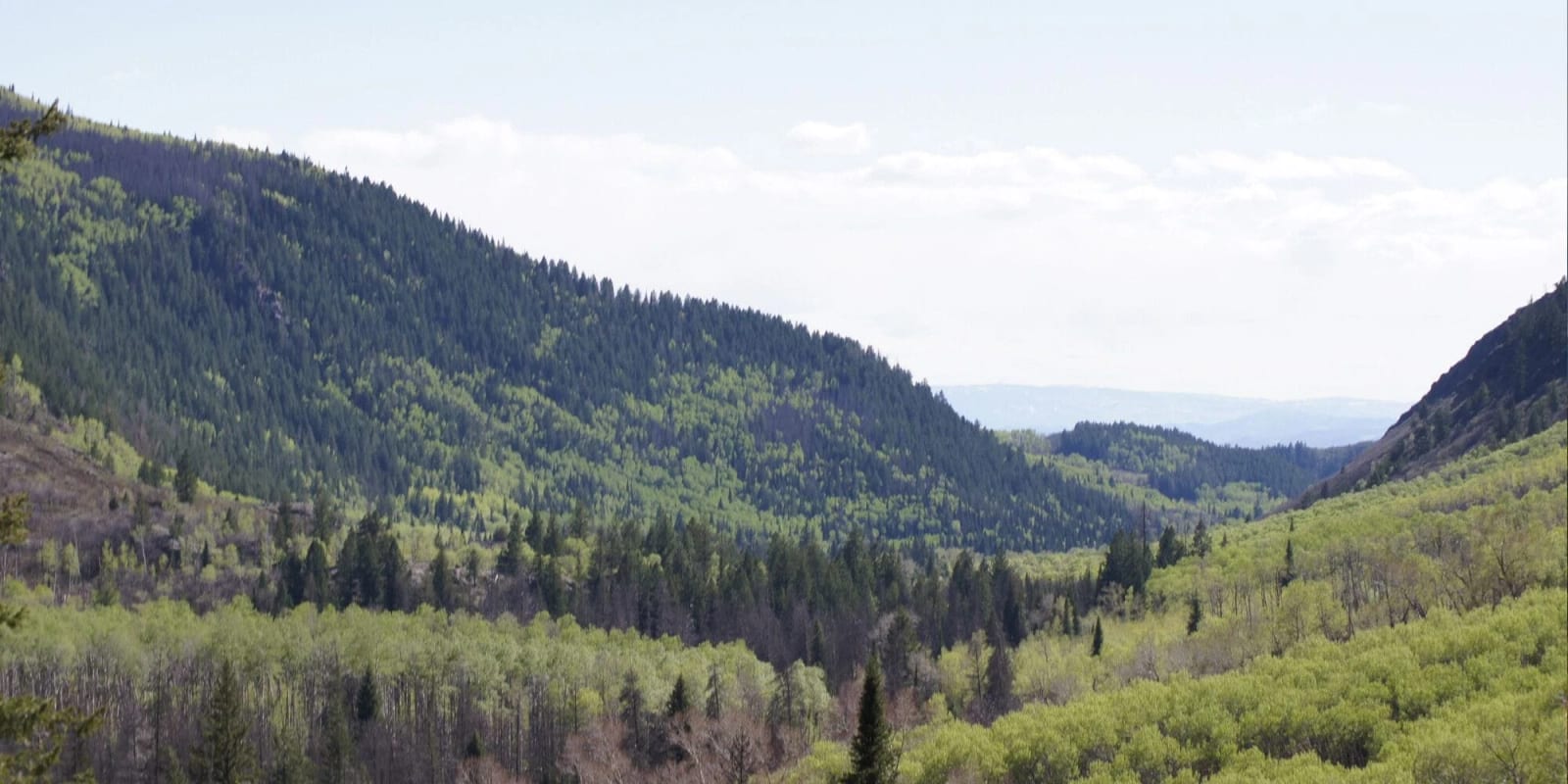 A wide valley with mountains covered in green trees under a partly cloudy sky.