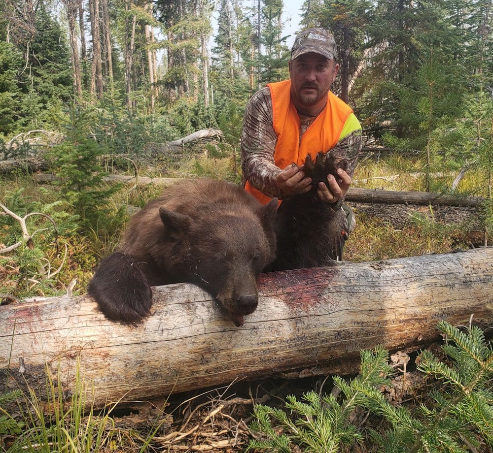 A hunter in an orange vest poses with a harvested black bear on a log in a forest.