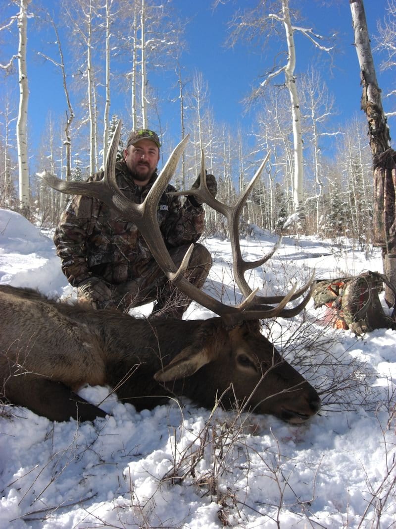 A hunter kneels in the snow next to a harvested elk with large antlers.