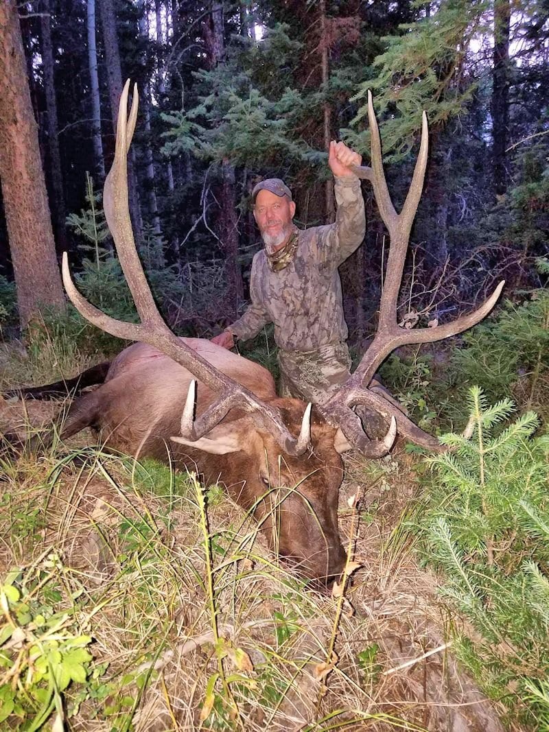 A hunter poses with a harvested elk in a forest.