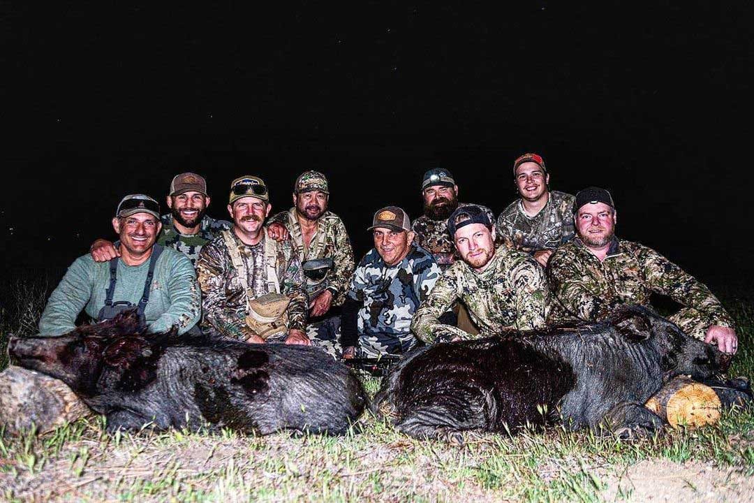 California Wild Pig Hunts