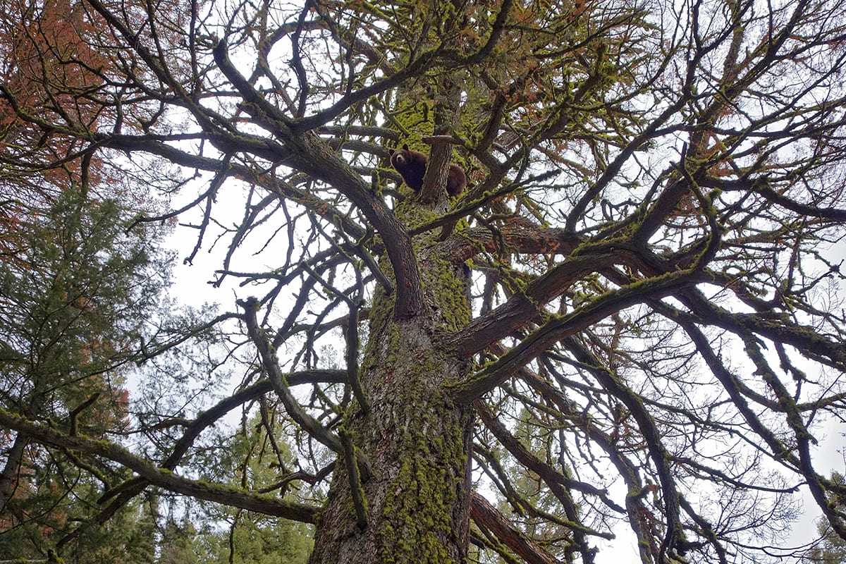 DSC00245SM.jpg
