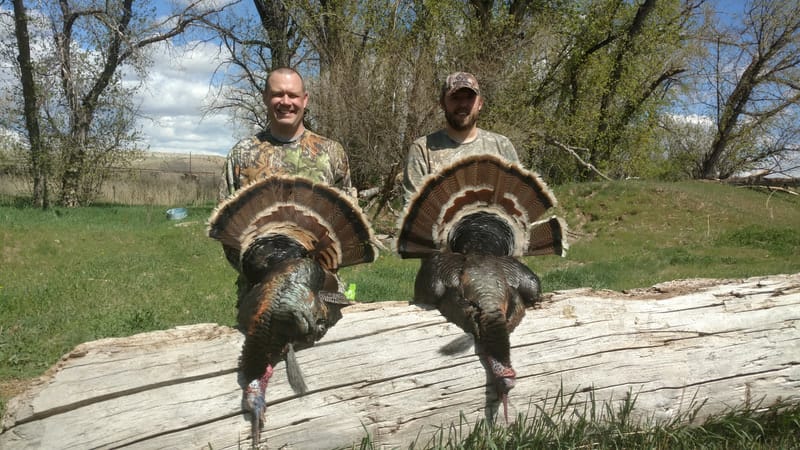 Two hunters pose with their harvested wild turkeys in a grassy outdoor setting.
