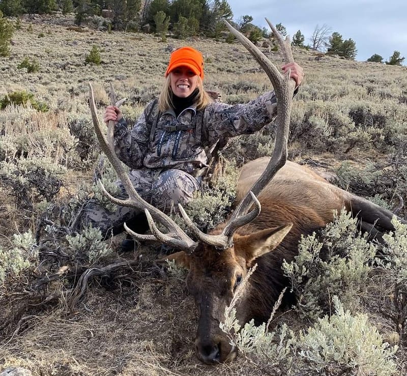 A hunter in camouflage and an orange hat poses with a harvested elk in a field.